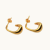 Irregular Oval Earrings