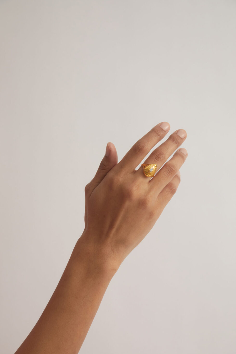 Fans Ring